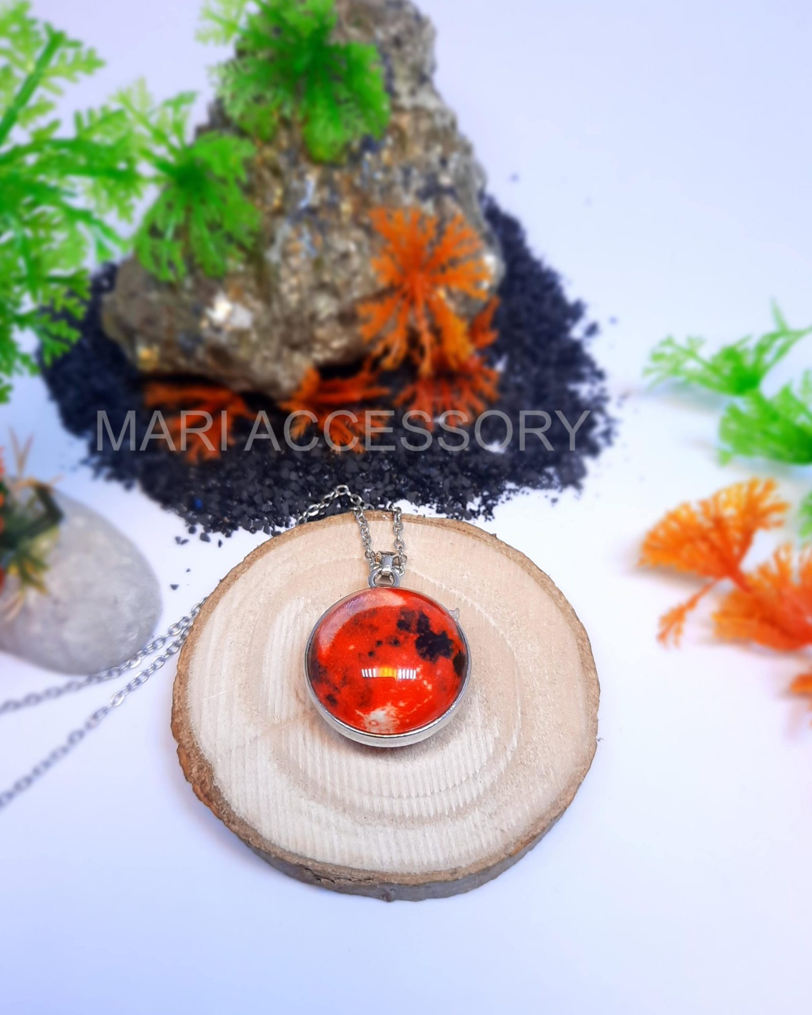 InShot_۲۰۲۴۱۰۳۰_۰۲۲۰۳۵۰۸۲-min