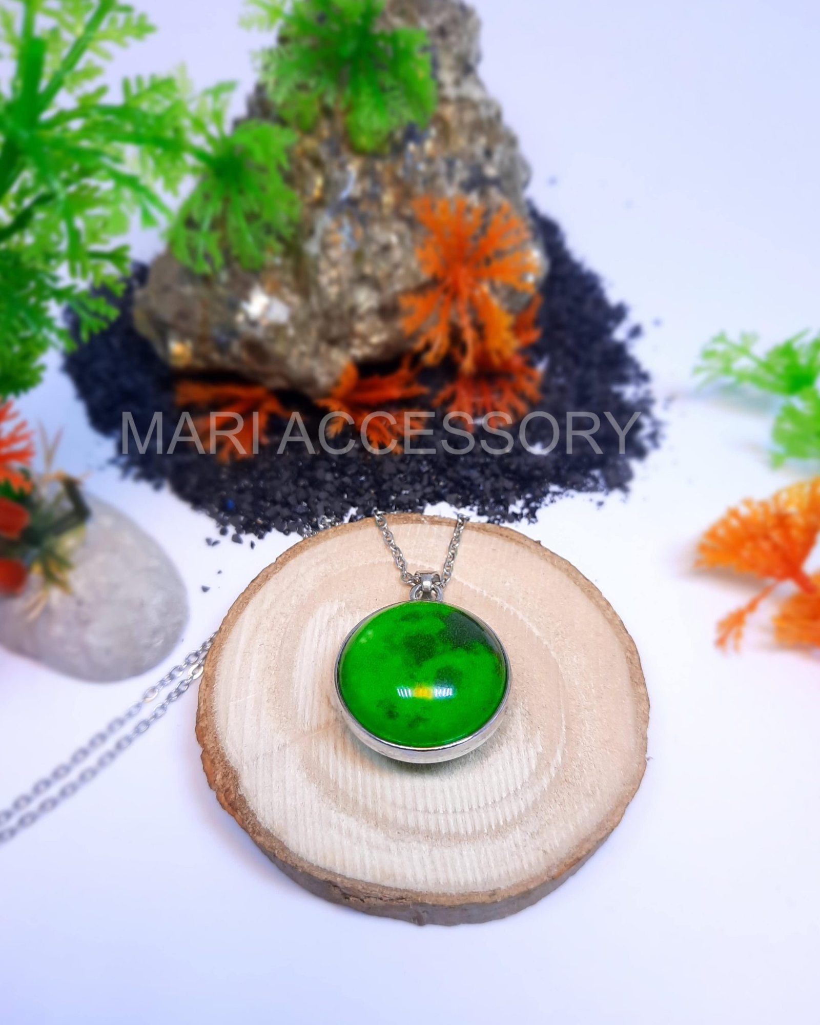 InShot_۲۰۲۴۱۰۳۰_۰۲۲۲۰۷۷۹۳-min